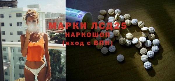a pvp Шали